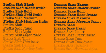 Etelka Slab Font Poster 10