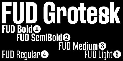 FUD Grotesk Fuente Póster 1