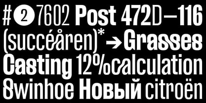 FUD Grotesk Font Poster 3