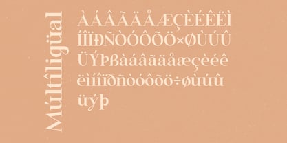 Brightag Font Poster 6