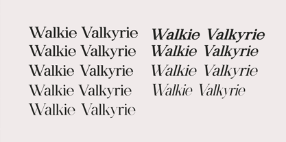 Walkie Valkyrie Font Poster 3