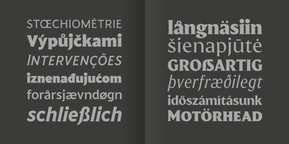 Harmonique Font Poster 10