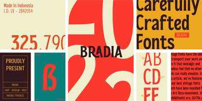 Bradia Font Poster 8