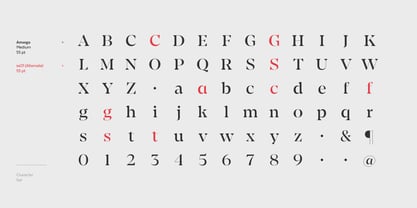 Amarga Font Poster 15