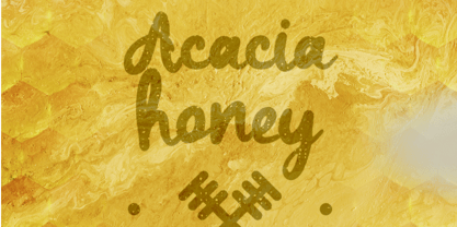 Daddy Bee Font Poster 6