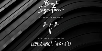 Brush Signature Fuente Póster 12