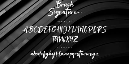 Brush Signature Fuente Póster 10