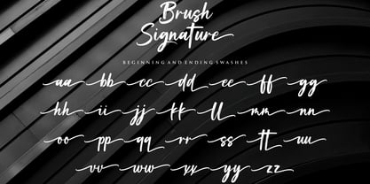 Brush Signature Fuente Póster 11