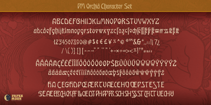 PM Orchid Font Poster 2