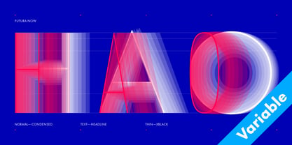 Futura Now Variable Font Poster 3