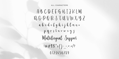 Mariangelica Font Poster 9