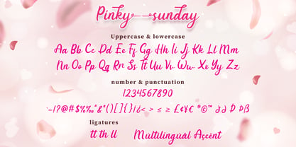Pinky Sunday Fuente Póster 7