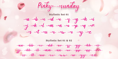 Pinky Sunday Fuente Póster 8