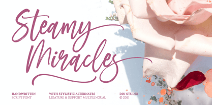 Steamy Miracles Font Poster 1