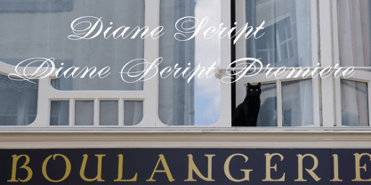 Diane Script Font Poster 1