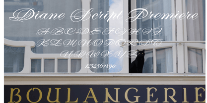 Diane Script Font Poster 6