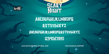 Scary Night Font Poster 7