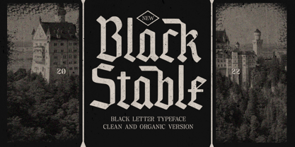 Black Stable Font Poster 1
