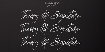 Theory Of Signature Font Poster 1