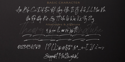Theory Of Signature Font Poster 8