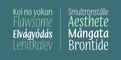 Anori Font Poster 7