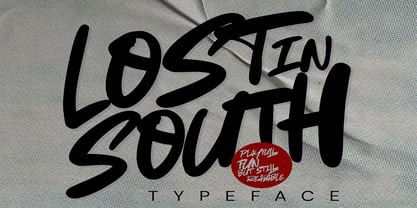 Lost In South Font Poster 1