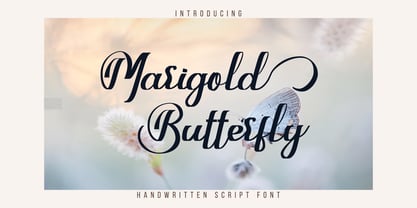 Marigold Butterfly Font Poster 1