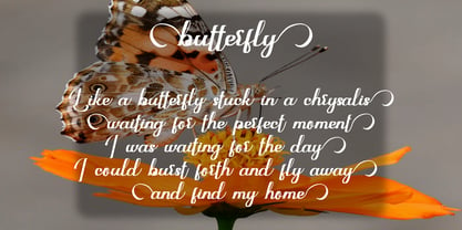 Marigold Butterfly Font Poster 9