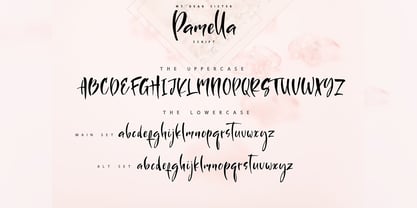 Sister Pamella Font Cyrillic Duo Font Poster 9