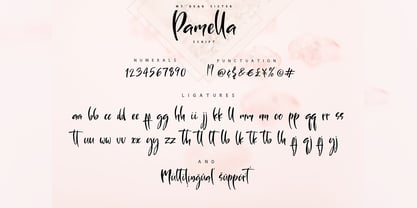 Sister Pamella Font Cyrillic Duo Font Poster 10