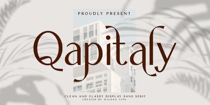 Qapitaly Font Poster 1