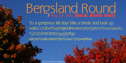 Bergsland Round Fuente Póster 2