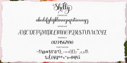 Shelly Script Police Poster 10
