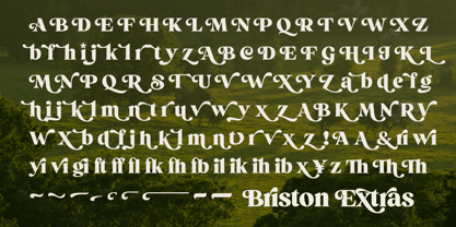 Briston Police Affiche 10