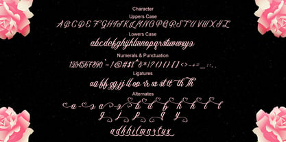 Maybeline Script Font Poster 6