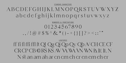 Channe Font Poster 7