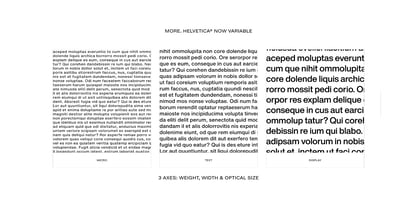 Helvetica Now Variable Font Poster 12