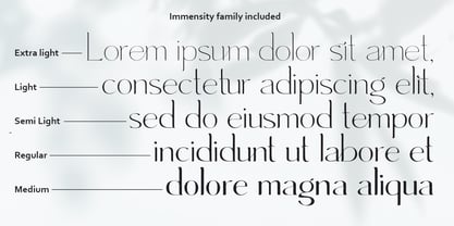 Immensity Font Poster 3