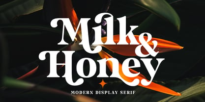 Milk And Honey Font Poster 1