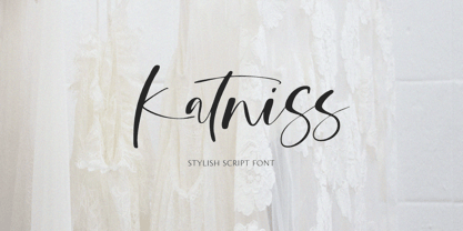 Katniss Font Poster 1