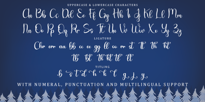 Christmas Bear Font Poster 6