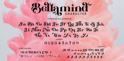 Bellamind Font Poster 2