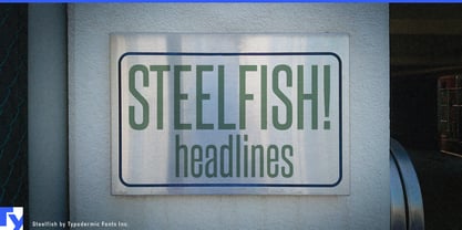 Steelfish Font Poster 1