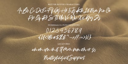 Better Rouge Font Poster 11