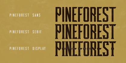 Pineforest Font Poster 9
