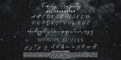 Family Prosperity Font Poster 8