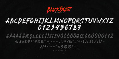 BlackBeast Typeface Fuente Póster 3