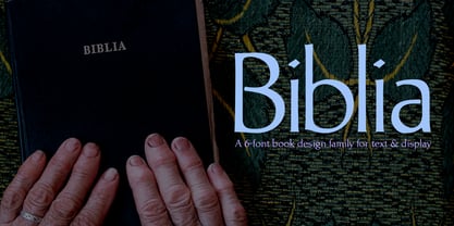 Biblia Font Poster 1