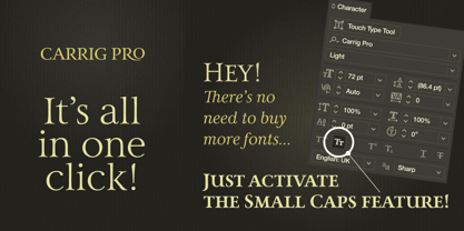 Carrig Pro Font Poster 5