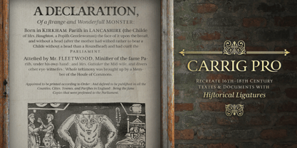 Carrig Pro Font Poster 11